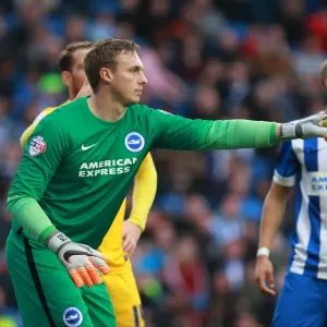Brighton's David Stockdale in Action: Preston North End vs. Brighton & Hove Albion, Sky Bet Championship 2015 Brighton's David Stockdale in Action: Preston North End vs. Brighton & Hove Albion, Sky Bet Championship 2015
