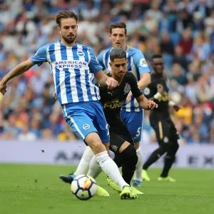Brighton's Davy Propper in Action Against Newcastle United - Premier League Clash, September 2017 Brighton's Davy Propper in Action Against Newcastle United - Premier League Clash, September 2017