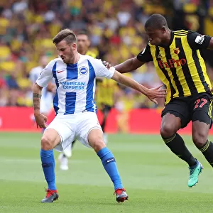 Brighton's Gross Shields Off: Premier League Showdown Between Brighton & Hove Albion and Watford, August 2018