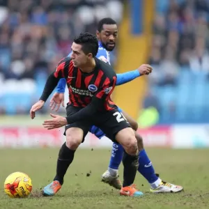 Brighton's Kayal in Action against Sheffield Wednesday, February 2015 Brighton's Kayal in Action against Sheffield Wednesday, February 2015