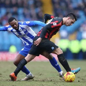 Brighton's Kayal Battles in Sheffield Wednesday Championship Clash, 14FEB15 Brighton's Kayal Battles in Sheffield Wednesday Championship Clash, 14FEB15