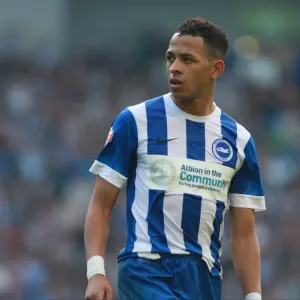 Brighton's Liam Rosenior in Action against Cardiff City, Sky Bet Championship 2015 Brighton's Liam Rosenior in Action against Cardiff City, Sky Bet Championship 2015