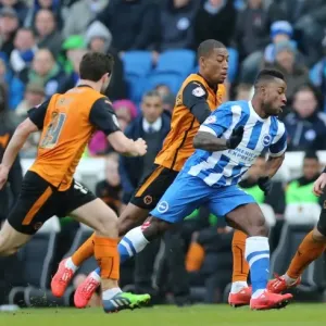 Brighton's LuaLua in Action: Championship Clash - Brighton & Hove Albion vs. Wolverhampton Wanderers (March 2015) Brighton's LuaLua in Action: Championship Clash - Brighton & Hove Albion vs. Wolverhampton Wanderers (March 2015)