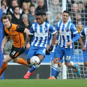 Brighton's LuaLua Shines in Championship Clash against Wolverhampton (14MAR15) Brighton's LuaLua Shines in Championship Clash against Wolverhampton (14MAR15)