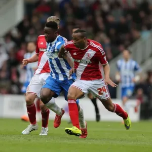 Brighton's LuaLua Shines in Middlesbrough Showdown, May 2015