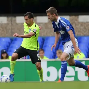 Brighton's Sam Baldock Fights for Goal Against Ipswich Town in Championship Clash (28/08/2015)