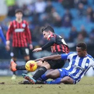 Brighton's Sam Baldock Scores Against Sheffield Wednesday in Championship Clash, 14 February 2015 Brighton's Sam Baldock Scores Against Sheffield Wednesday in Championship Clash, 14 February 2015
