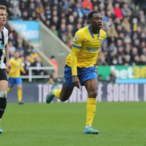 Brighton's Triumph: Premier League Showdown - Newcastle United vs. Brighton and Hove Albion (5th March 2022) Brighton's Triumph: Premier League Showdown - Newcastle United vs. Brighton and Hove Albion (5th March 2022)