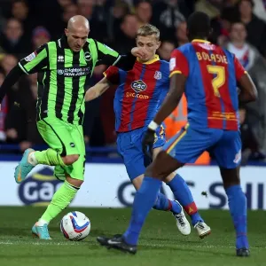 Bruno Clears Danger: Brighton & Hove Albion vs Crystal Palace, Npower Championship, Dec 1, 2012