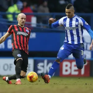 Bruno Saltor in Action: Sheffield Wednesday vs. Brighton and Hove Albion, Sky Bet Championship 2015 Bruno Saltor in Action: Sheffield Wednesday vs. Brighton and Hove Albion, Sky Bet Championship 2015