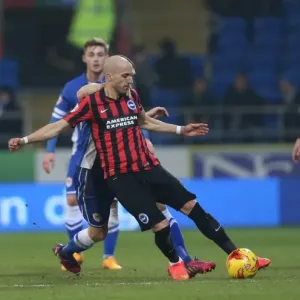 Bruno Saltor of Brighton and Hove Albion in Action against Cardiff City, Sky Bet Championship 2015 Bruno Saltor of Brighton and Hove Albion in Action against Cardiff City, Sky Bet Championship 2015