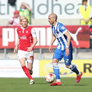 Bruno Saltor of Brighton and Hove Albion in Action against Rotherham United, Sky Bet Championship 2015