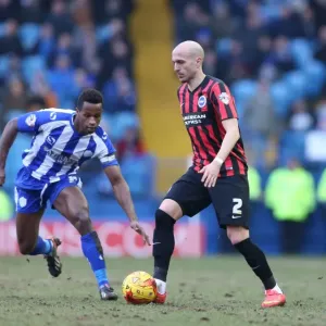 Bruno Saltor of Brighton and Hove Albion in Action Against Sheffield Wednesday, February 2015 Bruno Saltor of Brighton and Hove Albion in Action Against Sheffield Wednesday, February 2015