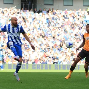 Bruno Saltor Clears the Ball: Brighton and Hove Albion vs. Hull City, Sky Bet Championship 2015 Bruno Saltor Clears the Ball: Brighton and Hove Albion vs. Hull City, Sky Bet Championship 2015