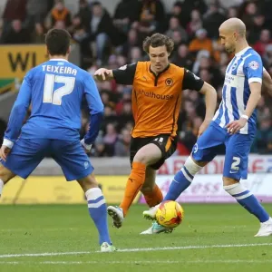Bruno vs. Wolves: A Championship Showdown (Brighton & Hove Albion at Molineux, 2014) Bruno vs. Wolves: A Championship Showdown (Brighton & Hove Albion at Molineux, 2014)