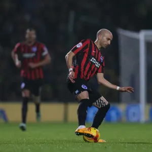 Bruno's Determination: Norwich City vs. Brighton & Hove Albion, Carrow Road, 2014 Bruno's Determination: Norwich City vs. Brighton & Hove Albion, Carrow Road, 2014