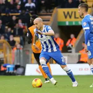 Bruno's Determination: Wolverhampton Wanderers vs Brighton and Hove Albion, Championship Clash (December 2014) Bruno's Determination: Wolverhampton Wanderers vs Brighton and Hove Albion, Championship Clash (December 2014)