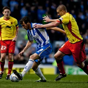 Will Buckley in Action: Brighton & Hove Albion vs Watford, April 17, 2012 Will Buckley in Action: Brighton & Hove Albion vs Watford, April 17, 2012