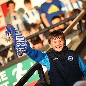 Capital One Cup: Walsall vs. Brighton & Hove Albion at Bescot Stadium (25/08/2015)