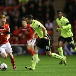Capital One Cup: Walsall vs. Brighton & Hove Albion at Bescot Stadium (25/08/2015)