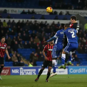 Cardiff City vs. Brighton & Hove Albion: Intense Championship Clash at Cardiff City Stadium (10FEB15) Cardiff City vs. Brighton & Hove Albion: Intense Championship Clash at Cardiff City Stadium (10FEB15)