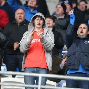 Cardiff City vs. Brighton and Hove Albion: Sky Bet Championship Clash at Cardiff City Stadium (20FEB16) Cardiff City vs. Brighton and Hove Albion: Sky Bet Championship Clash at Cardiff City Stadium (20FEB16)