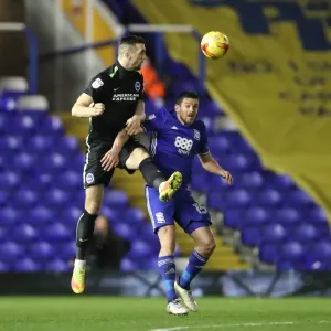Championship Clash: Birmingham vs. Brighton (17DEC16) Championship Clash: Birmingham vs. Brighton (17DEC16)
