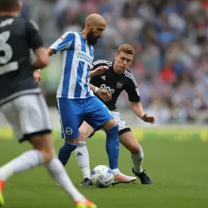 Championship Clash: Brighton and Hove Albion vs. Brentford at the American Express Community Stadium (10SEP16) Championship Clash: Brighton and Hove Albion vs. Brentford at the American Express Community Stadium (10SEP16)