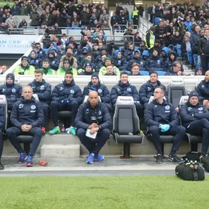 Championship Clash: Brighton and Hove Albion vs. Fulham at American Express Community Stadium (November 2016) Championship Clash: Brighton and Hove Albion vs. Fulham at American Express Community Stadium (November 2016)