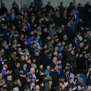 Championship Clash: Brighton and Hove Albion vs. Cardiff City at American Express Community Stadium (January 2017) Championship Clash: Brighton and Hove Albion vs. Cardiff City at American Express Community Stadium (January 2017)