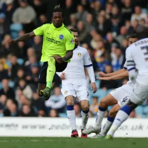 Championship Clash: Leeds United vs. Brighton & Hove Albion (17th October 2015) Championship Clash: Leeds United vs. Brighton & Hove Albion (17th October 2015)