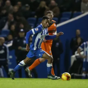 Championship Showdown: Brighton & Hove Albion vs Ipswich Town at American Express Community Stadium (29DEC15) Championship Showdown: Brighton & Hove Albion vs Ipswich Town at American Express Community Stadium (29DEC15)
