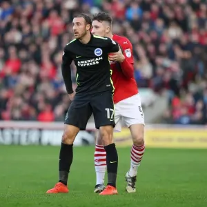 Championship Showdown: Barnsley vs. Brighton and Hove Albion at Oakwell (18FEB17) Championship Showdown: Barnsley vs. Brighton and Hove Albion at Oakwell (18FEB17)