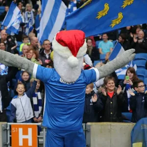 Championship Showdown: Brighton and Hove Albion vs. Middlesbrough (19DEC15) Championship Showdown: Brighton and Hove Albion vs. Middlesbrough (19DEC15)