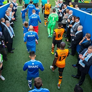Championship Showdown: Brighton and Hove Albion vs. Hull City at American Express Community Stadium (September 12, 2015)