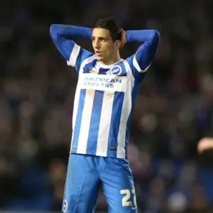 Championship Showdown: Brighton & Hove Albion vs. Huddersfield Town (23rd January 2016) Championship Showdown: Brighton & Hove Albion vs. Huddersfield Town (23rd January 2016)