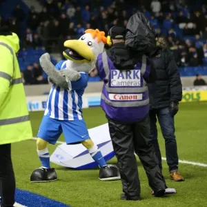 Championship Showdown: Brighton and Hove Albion vs. Sheffield Wednesday (08.03.2016) Championship Showdown: Brighton and Hove Albion vs. Sheffield Wednesday (08.03.2016)