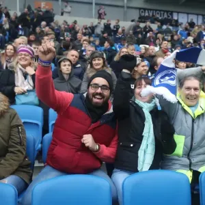 Championship Showdown: Brighton and Hove Albion vs. Fulham at American Express Community Stadium (November 2016) Championship Showdown: Brighton and Hove Albion vs. Fulham at American Express Community Stadium (November 2016)