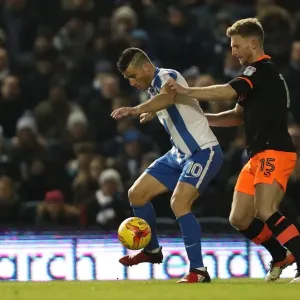 Championship Showdown: Brighton and Hove Albion vs. Sheffield Wednesday (January 2017) Championship Showdown: Brighton and Hove Albion vs. Sheffield Wednesday (January 2017)