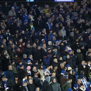 Championship Showdown: Brighton and Hove Albion vs. Cardiff City at the American Express Community Stadium (24th January 2017) Championship Showdown: Brighton and Hove Albion vs. Cardiff City at the American Express Community Stadium (24th January 2017)