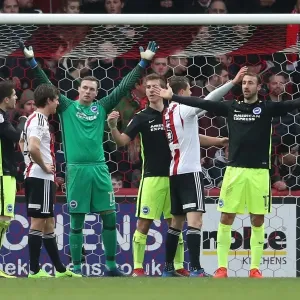 Championship Showdown: Brighton and Hove Albion vs. Brentford (05FEB17)