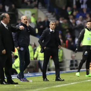 Championship Showdown: Brighton and Hove Albion vs. Newcastle United at American Express Community Stadium - February 28, 2017 Championship Showdown: Brighton and Hove Albion vs. Newcastle United at American Express Community Stadium - February 28, 2017