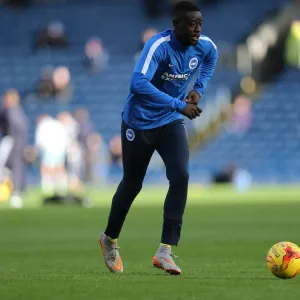 Championship Showdown: Burnley vs. Brighton & Hove Albion at Turf Moor (Nov 2015)