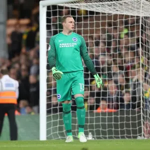 Championship Showdown at Carrow Road: Norwich City vs. Brighton & Hove Albion (21APR17) Championship Showdown at Carrow Road: Norwich City vs. Brighton & Hove Albion (21APR17)