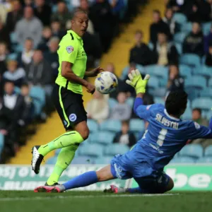 Championship Showdown: Leeds United vs. Brighton & Hove Albion at Elland Road (17th October 2015)