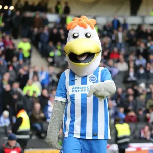 Championship Showdown: Milton Keynes Dons vs. Brighton and Hove Albion (19MAR16) Championship Showdown: Milton Keynes Dons vs. Brighton and Hove Albion (19MAR16)