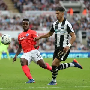 Championship Showdown: Newcastle United vs. Brighton and Hove Albion at St. James Park (27-08-2016) Championship Showdown: Newcastle United vs. Brighton and Hove Albion at St. James Park (27-08-2016)