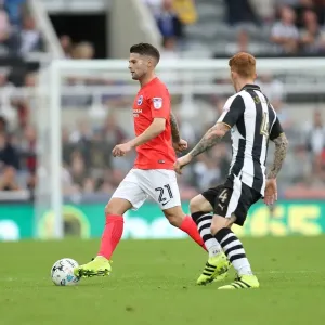 Championship Showdown: Newcastle United vs. Brighton and Hove Albion at St. James Park (27/08/2016) Championship Showdown: Newcastle United vs. Brighton and Hove Albion at St. James Park (27/08/2016)