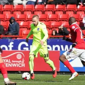 Charlton Athletic vs. Brighton and Hove Albion: Intense Championship Clash on April 23, 2016 (23APR16) Charlton Athletic vs. Brighton and Hove Albion: Intense Championship Clash on April 23, 2016 (23APR16)