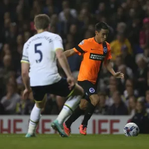 Chicken Stands Firm: Intense Moment from Tottenham vs. Brighton Capital One Cup Clash (2014) Chicken Stands Firm: Intense Moment from Tottenham vs. Brighton Capital One Cup Clash (2014)